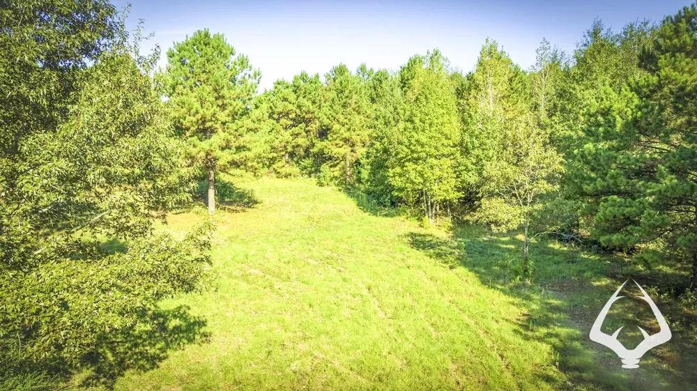 1580 00 County Road 4366 Tenaha, TX 75974