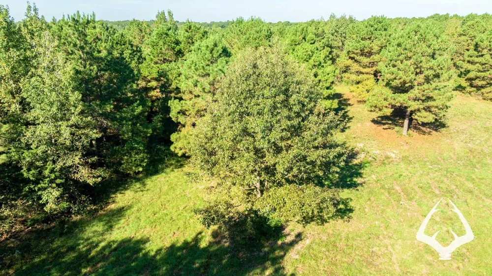 1580 00 County Road 4366 Tenaha, TX 75974