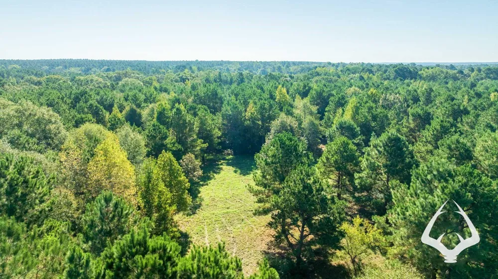 1580 00 County Road 4366 Tenaha, TX 75974