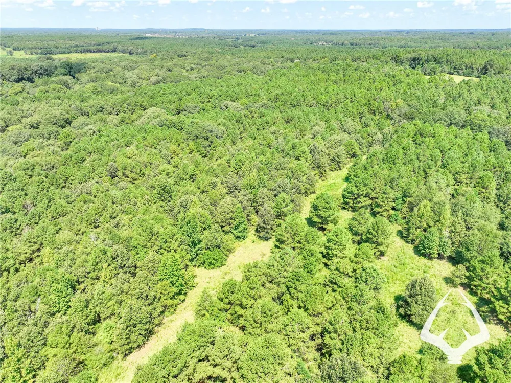 1580 00 County Road 4366 Tenaha, TX 75974
