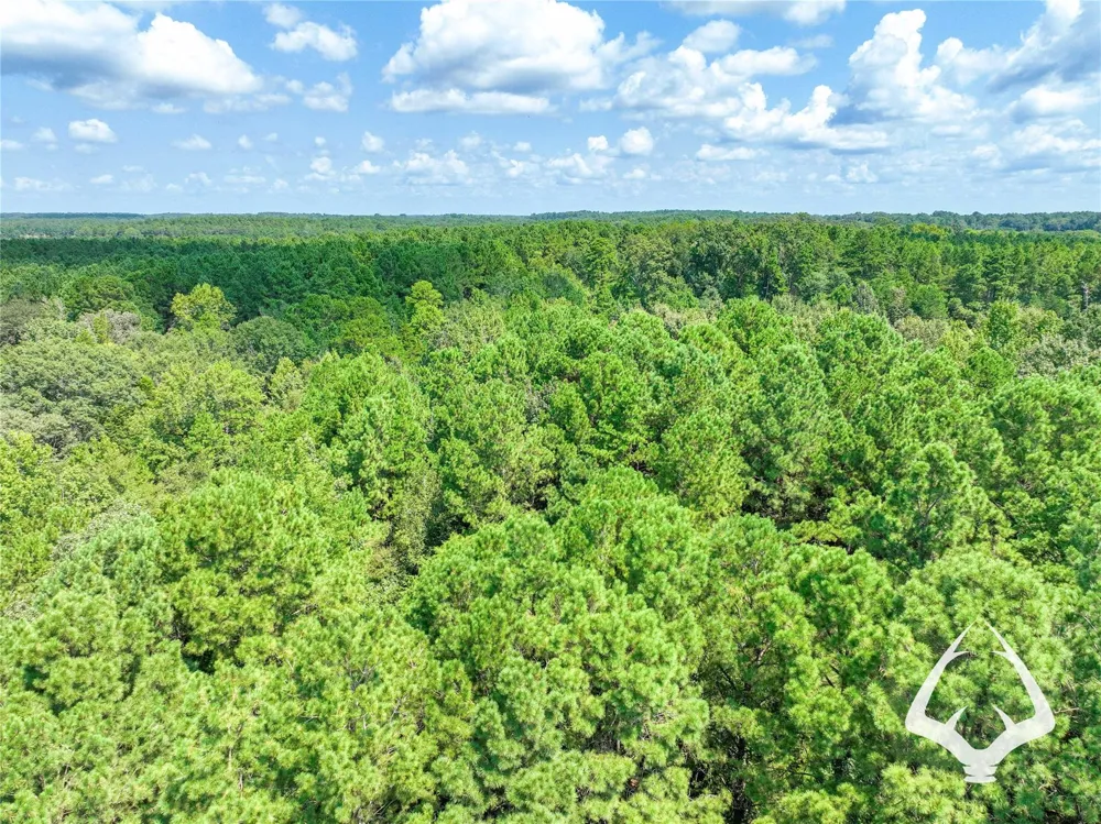 1580 00 County Road 4366 Tenaha, TX 75974