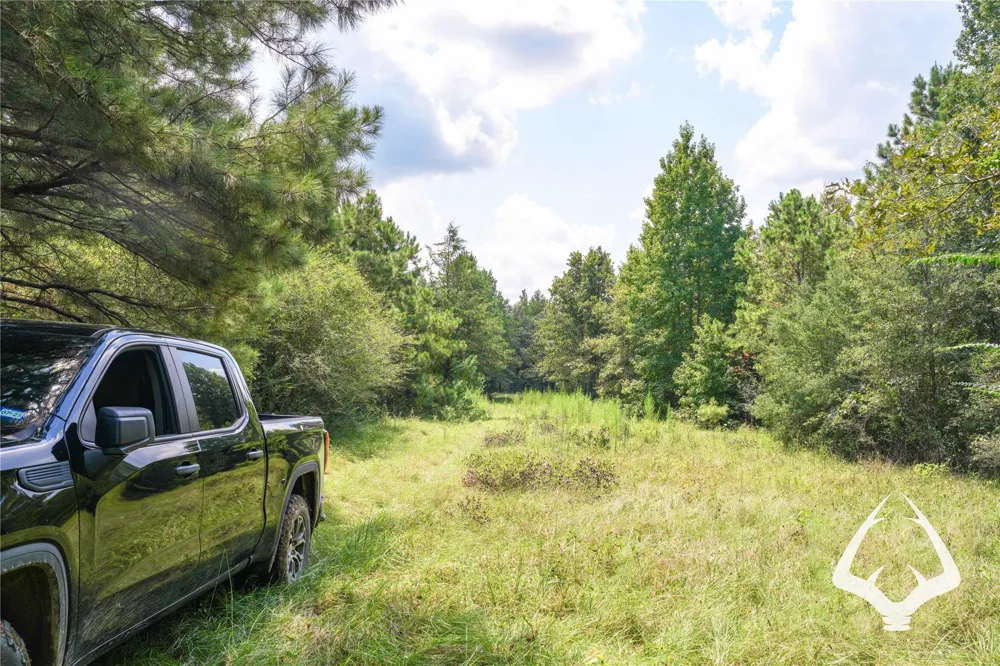 1580 00 County Road 4366 Tenaha, TX 75974