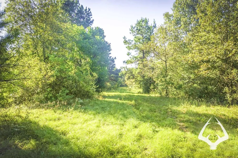 1580 00 County Road 4366 Tenaha, TX 75974