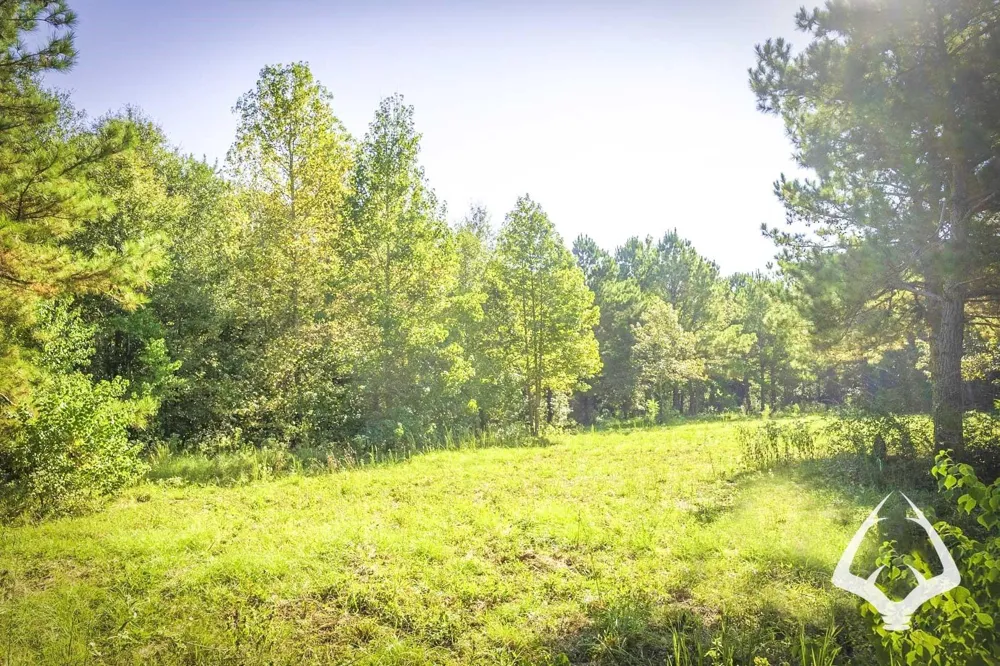 1580 00 County Road 4366 Tenaha, TX 75974