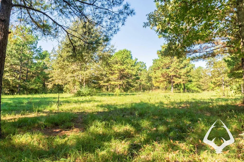 1580 00 County Road 4366 Tenaha, TX 75974