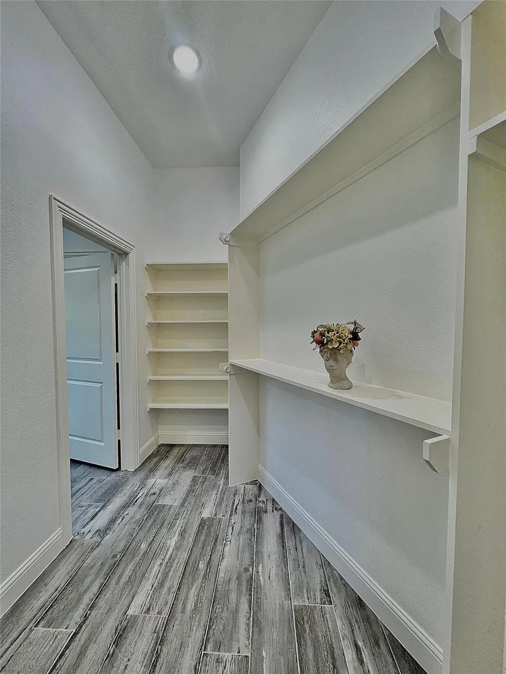 10127 Grover Ln Houston, TX 77041