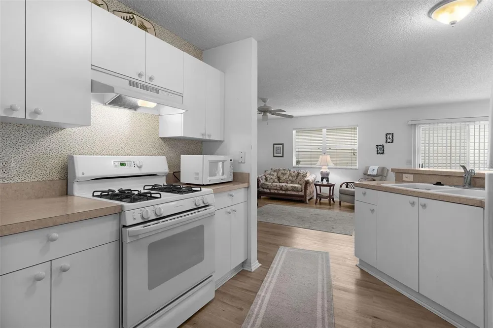 17362 SE 78TH HARMONY CIRCLE The Villages, FL 32162