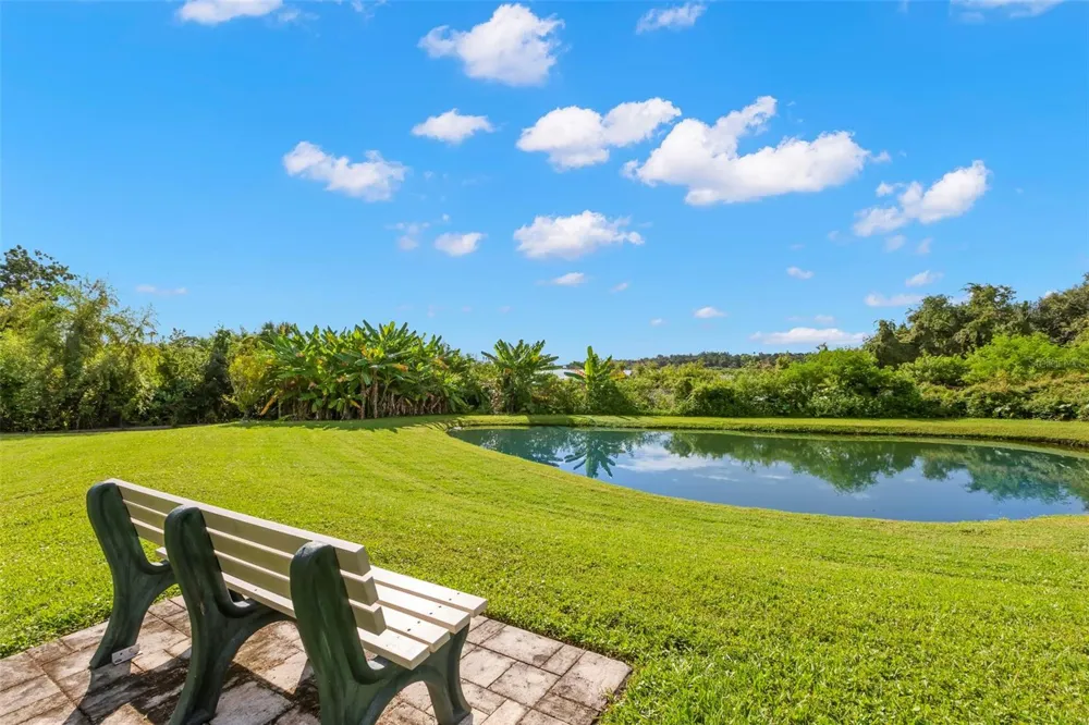 950 14TH AVENUE S Safety Harbor, FL 34695