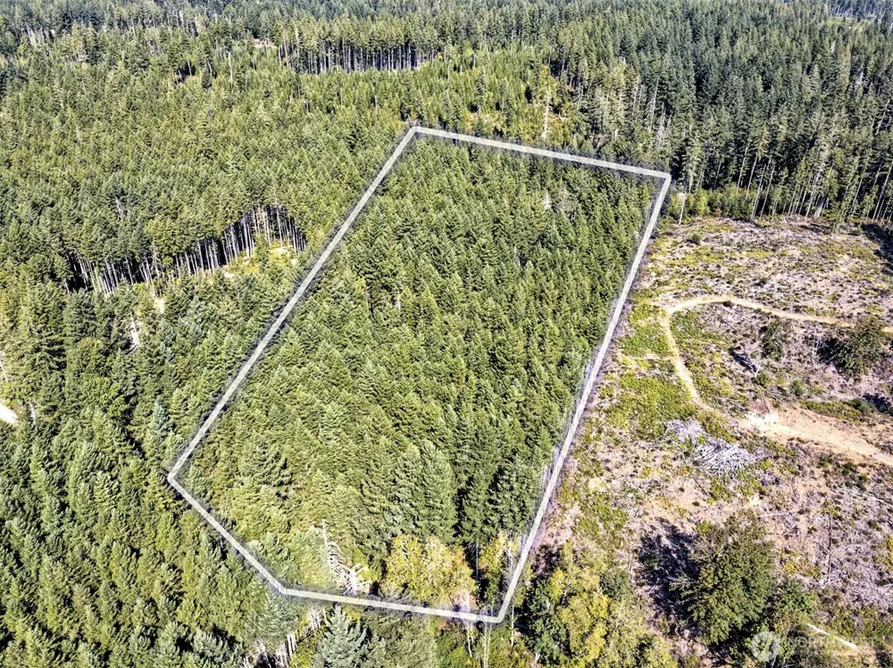 0 Tahuya Valley Drive E Tahuya, WA 98588