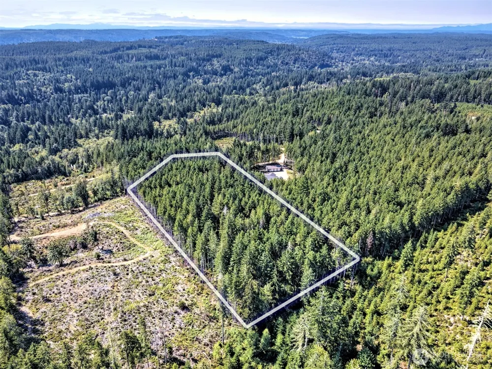 0 Tahuya Valley Drive E Tahuya, WA 98588