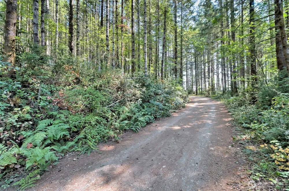 0 Tahuya Valley Drive E Tahuya, WA 98588