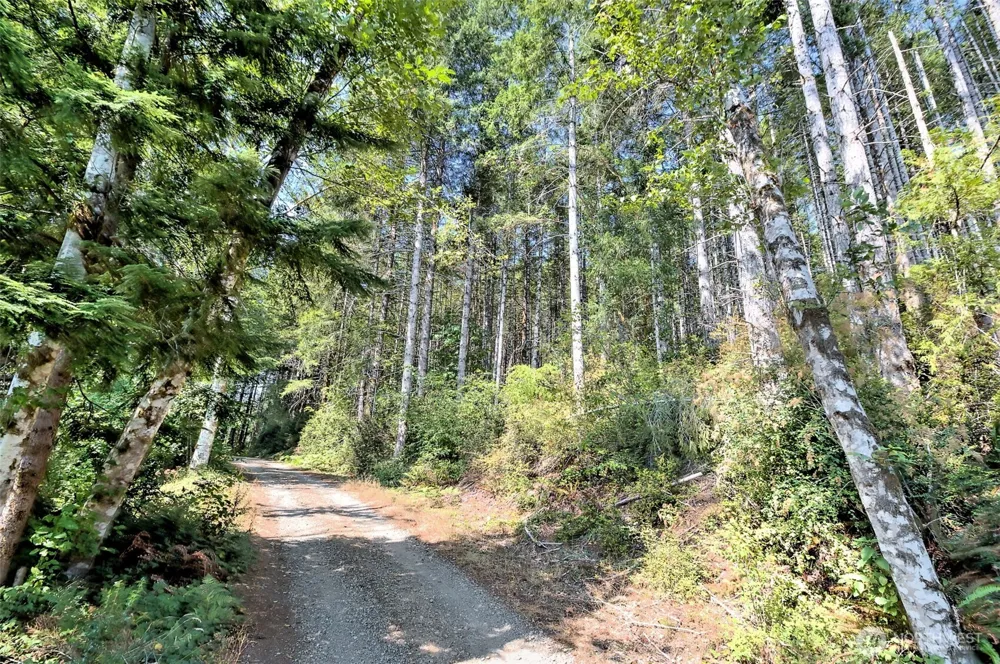 0 Tahuya Valley Drive E Tahuya, WA 98588