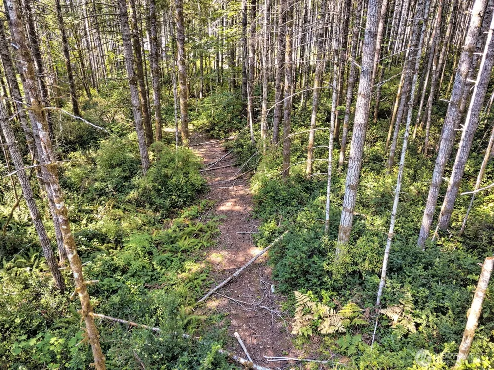 0 Tahuya Valley Drive E Tahuya, WA 98588