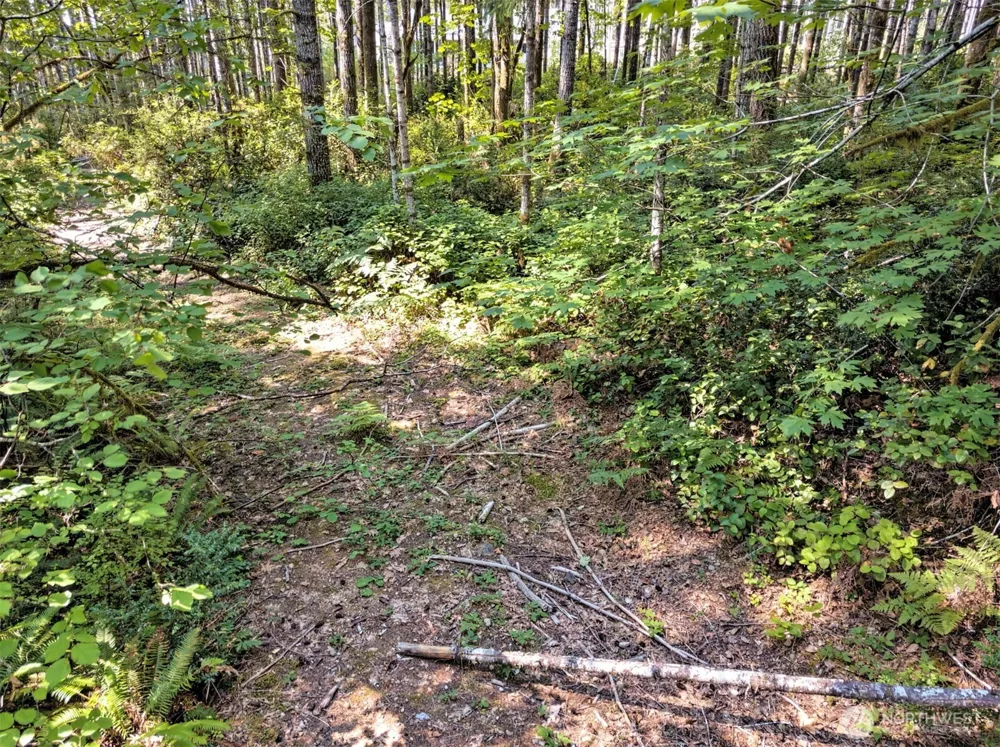 0 Tahuya Valley Drive E Tahuya, WA 98588