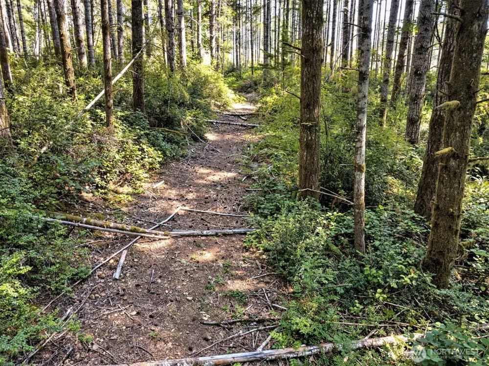 0 Tahuya Valley Drive E Tahuya, WA 98588