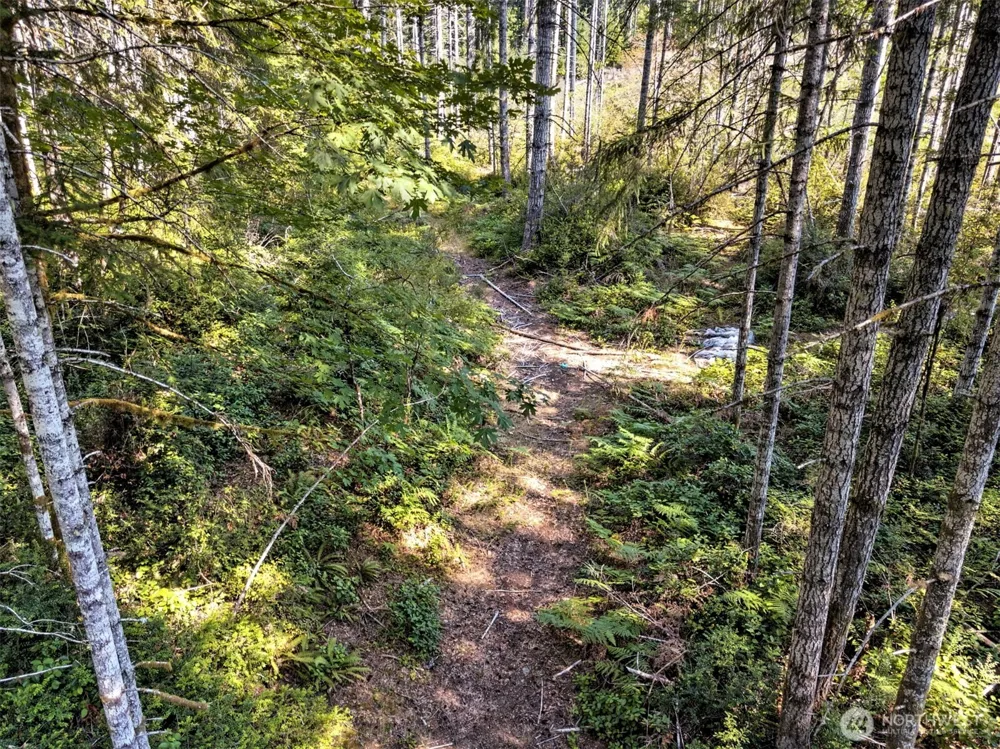0 Tahuya Valley Drive E Tahuya, WA 98588