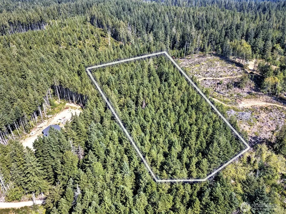 0 Tahuya Valley Drive E Tahuya, WA 98588