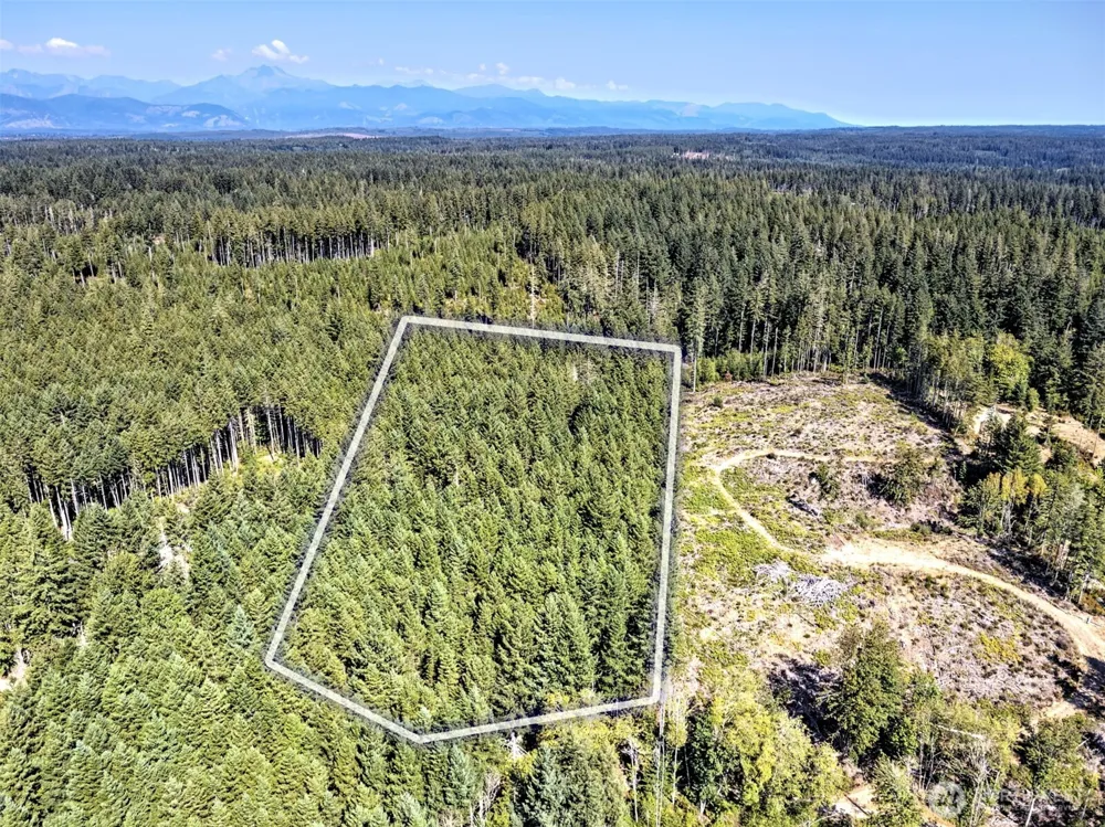 0 Tahuya Valley Drive E Tahuya, WA 98588