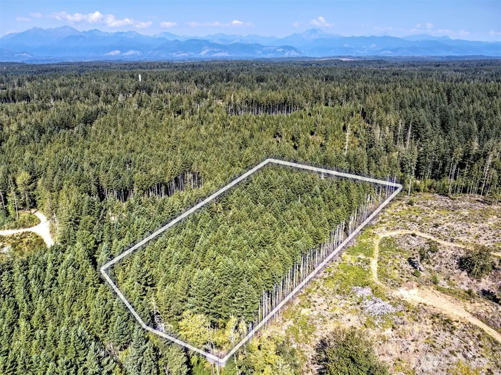 0 Tahuya Valley Drive E Tahuya, WA 98588