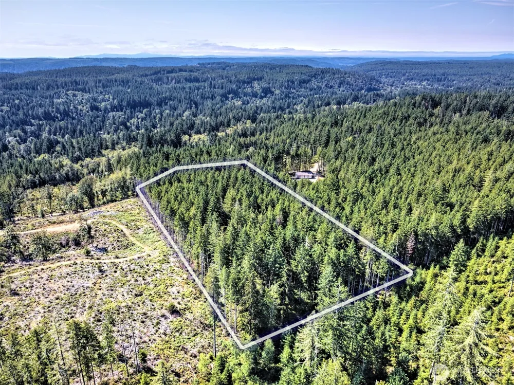 0 Tahuya Valley Drive E Tahuya, WA 98588