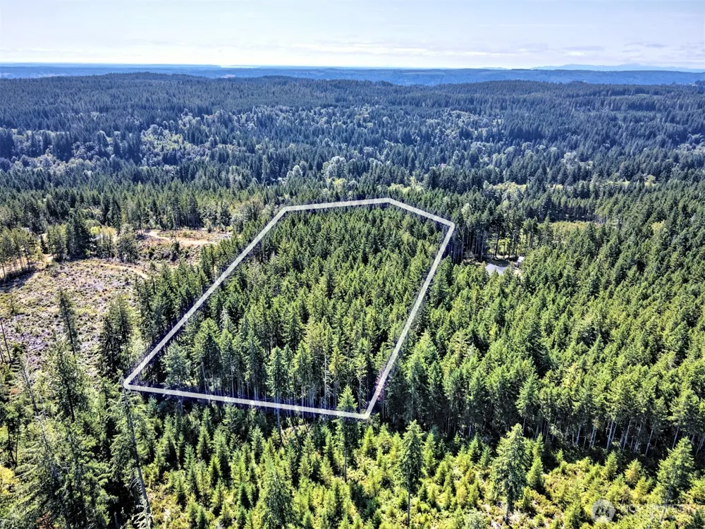 0 Tahuya Valley Drive E Tahuya, WA 98588