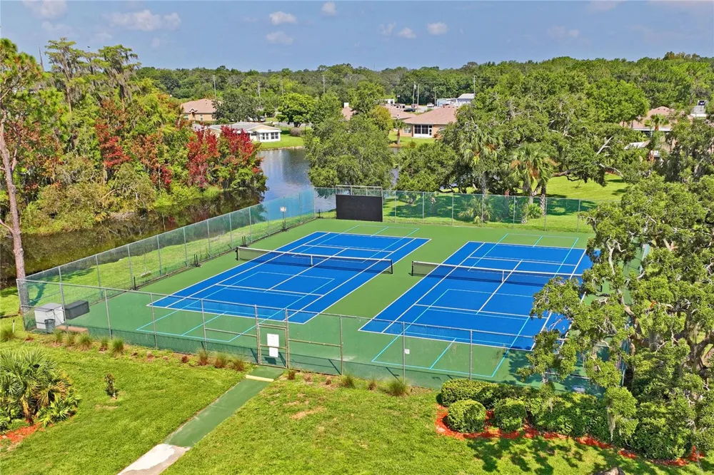 Address Not Shown New Port Richey, FL 34654