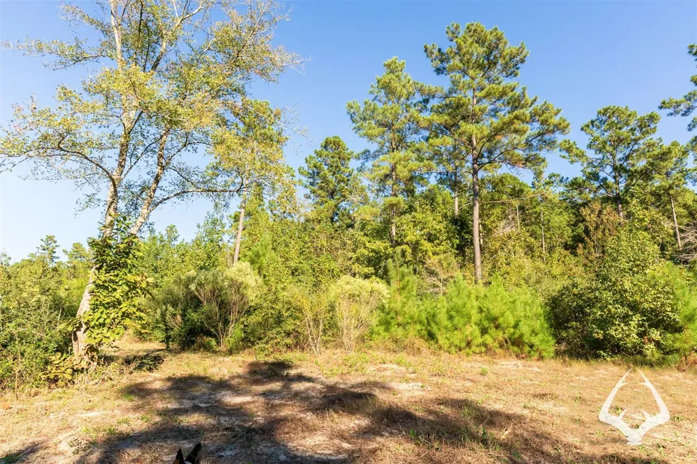 County Road 3250 Mount Enterprise, TX 75681