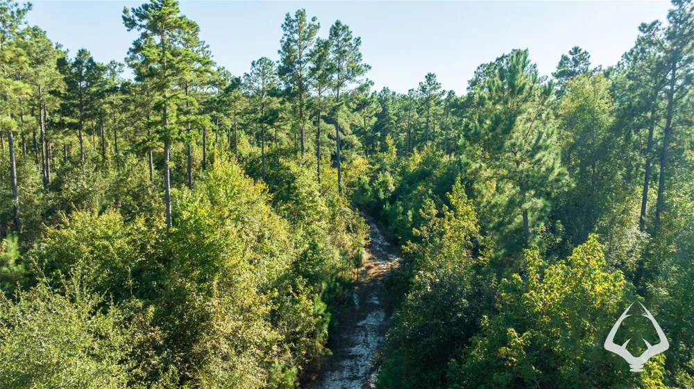 County Road 3250 Mount Enterprise, TX 75681