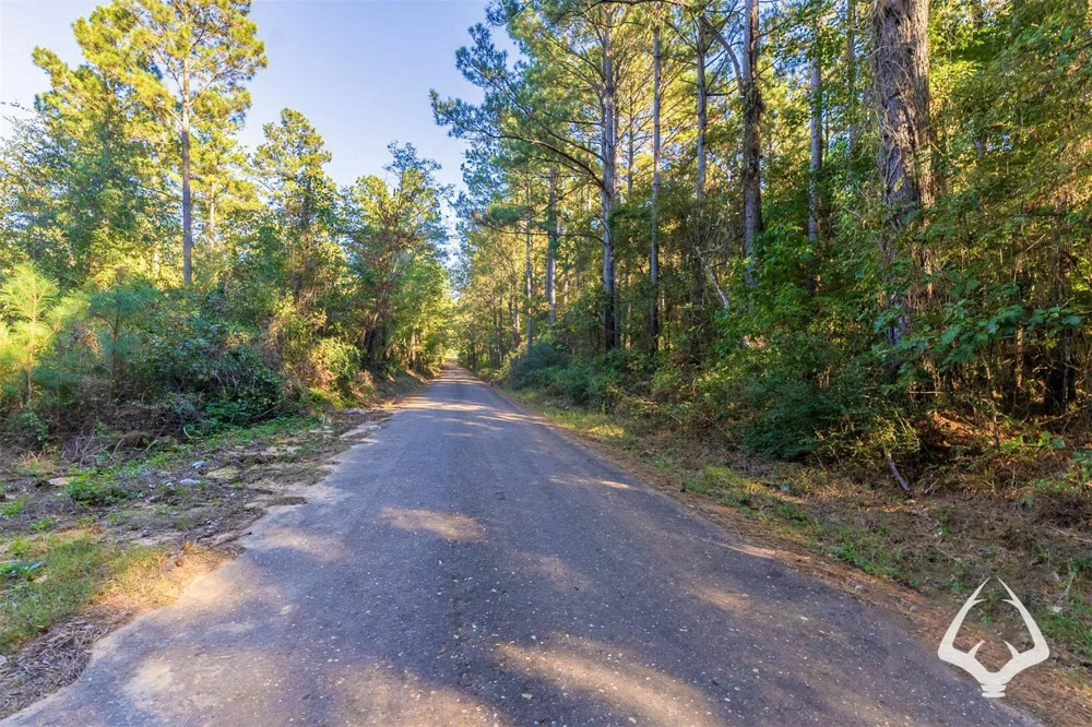 County Road 3250 Mount Enterprise, TX 75681