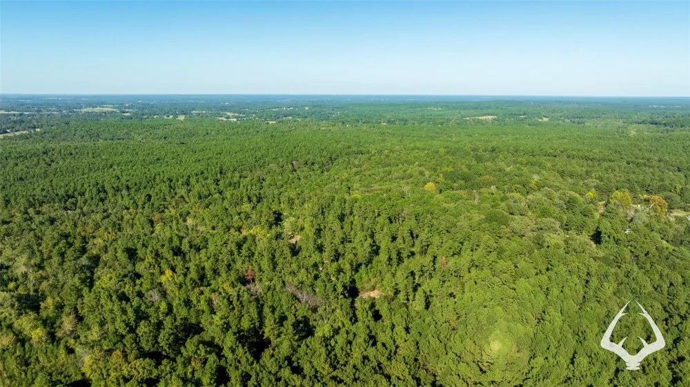 County Road 3250 Mount Enterprise, TX 75681