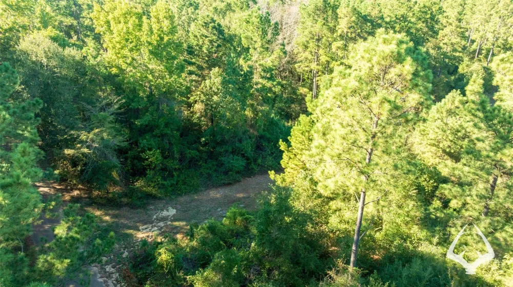 County Road 3250 Mount Enterprise, TX 75681