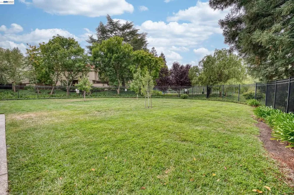 535 Churchill Downs Ct Walnut Creek, CA 94597