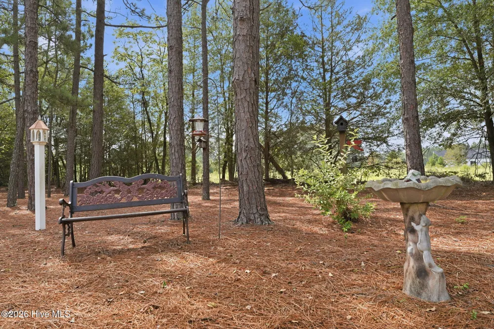 5 Whitman Court Jackson Springs, NC 27281