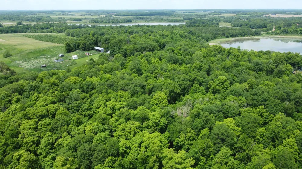 TBD 355th Street Richville, MN 56576