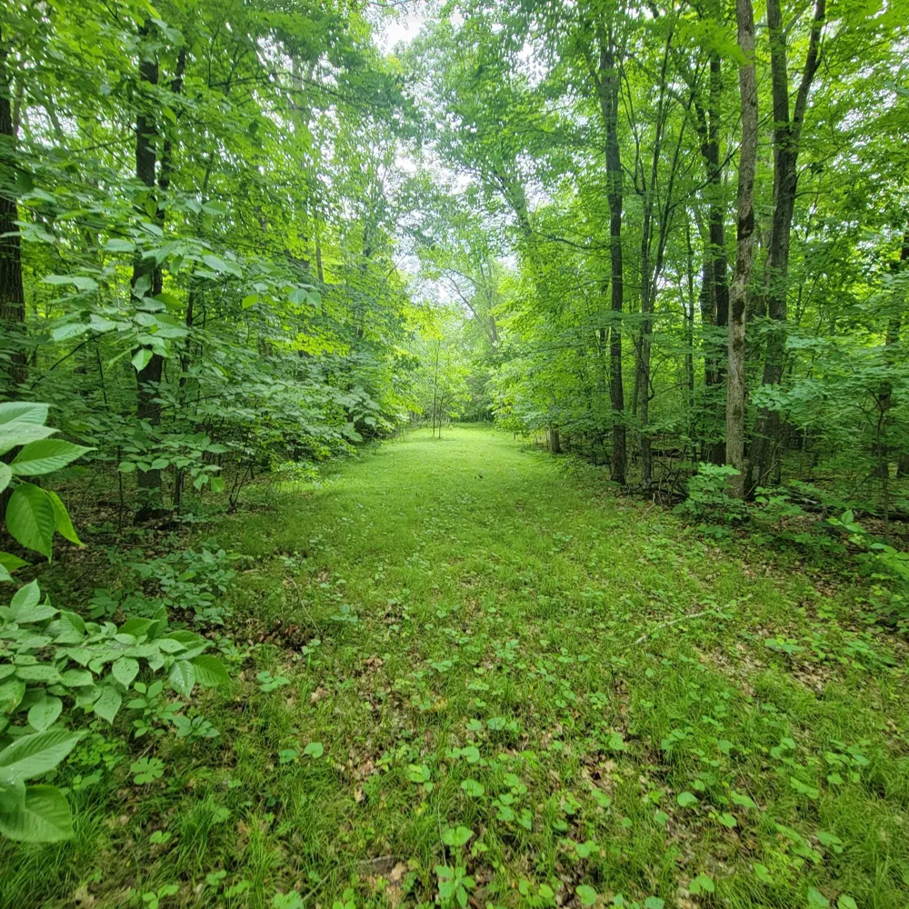 TBD 355th Street Richville, MN 56576