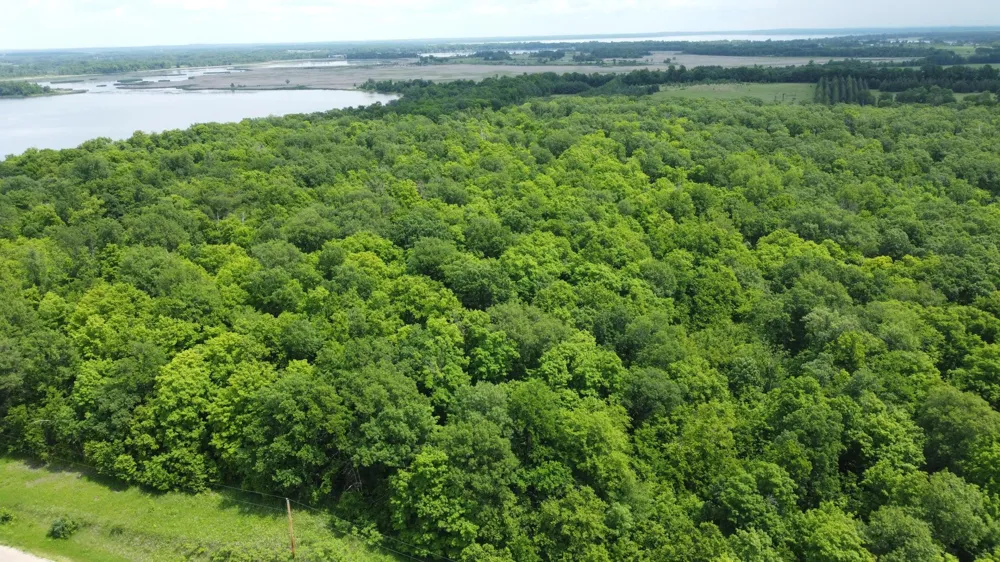 TBD 355th Street Richville, MN 56576