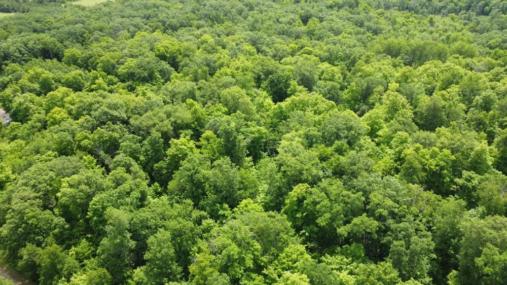TBD 355th Street Richville, MN 56576