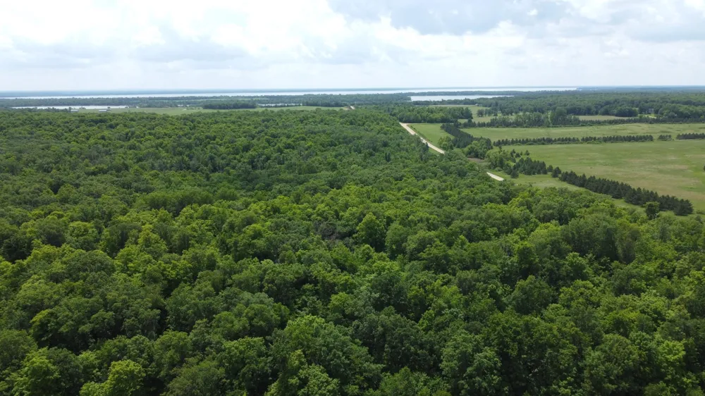 TBD 355th Street Richville, MN 56576