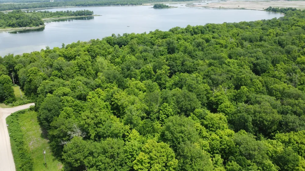 TBD 355th Street Richville, MN 56576