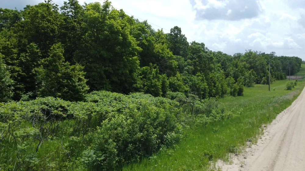 TBD 355th Street Richville, MN 56576
