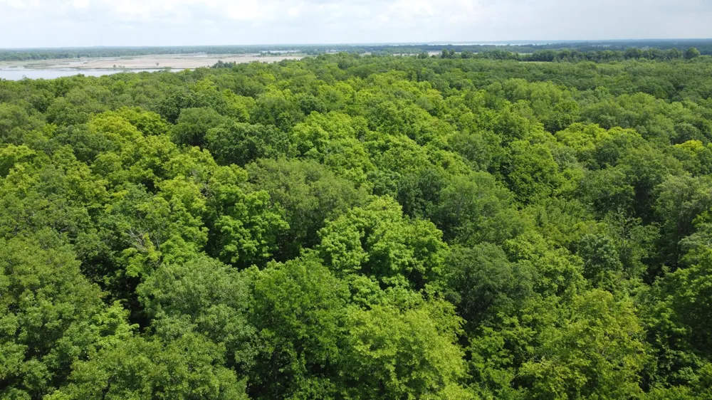 TBD 355th Street Richville, MN 56576