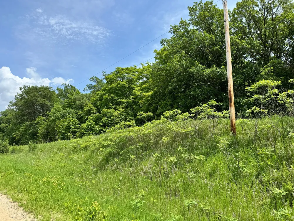 TBD 355th Street Richville, MN 56576