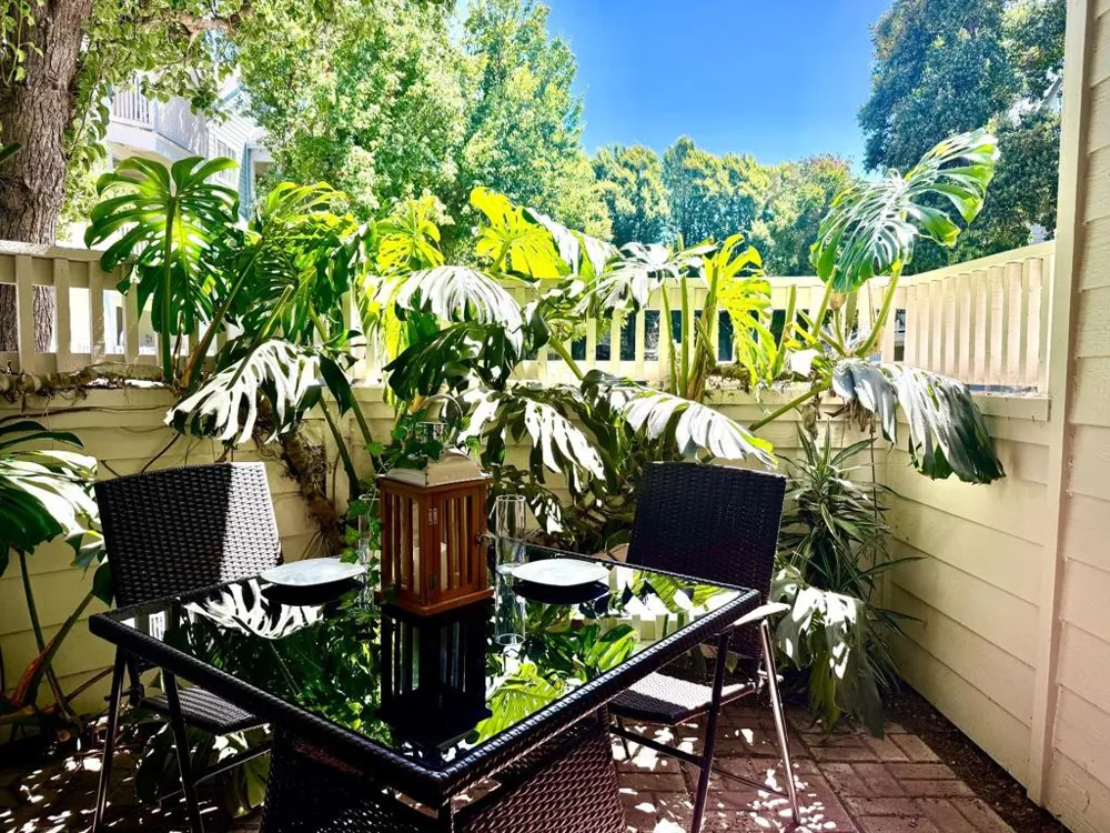 608 Arcadia Terrace #102 Sunnyvale, CA 94085