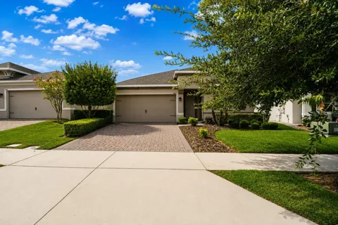 9184 OLMO COURT