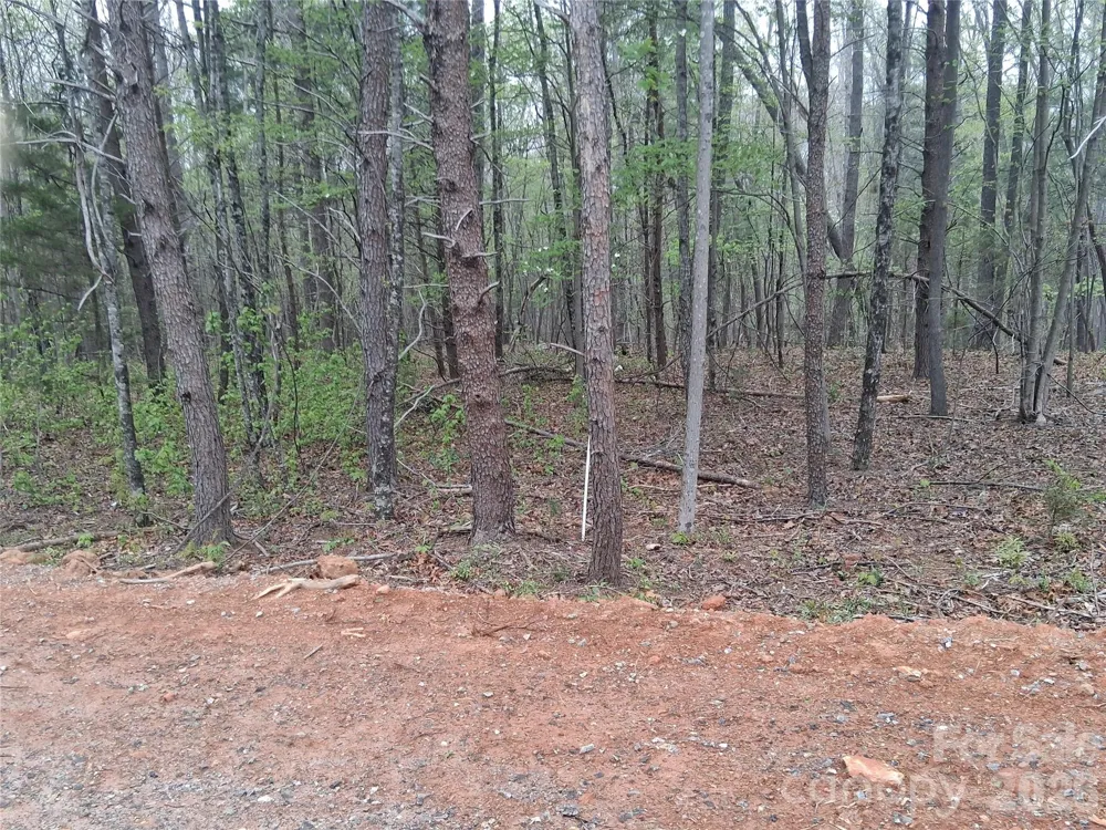 2312 Magnolia Place #10 Morganton, NC 28655