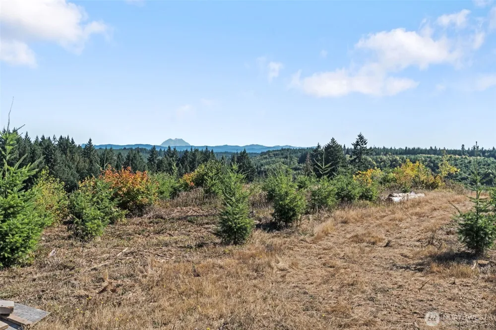 0 Lot 2 Macomber Road W Chehalis, WA 98532