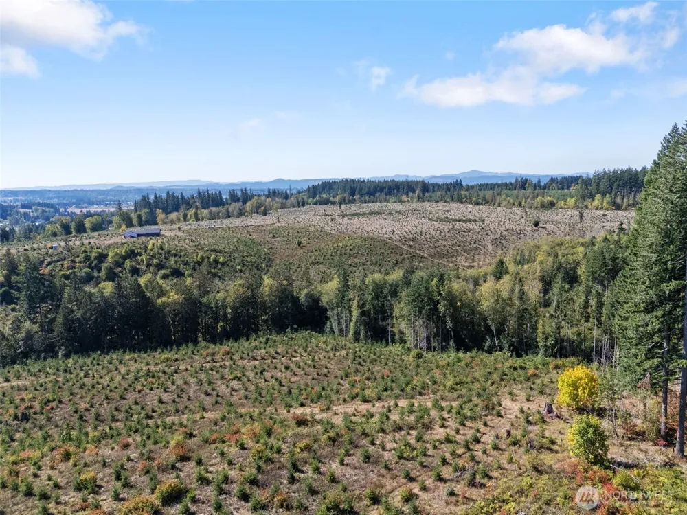 0 Lot 2 Macomber Road W Chehalis, WA 98532