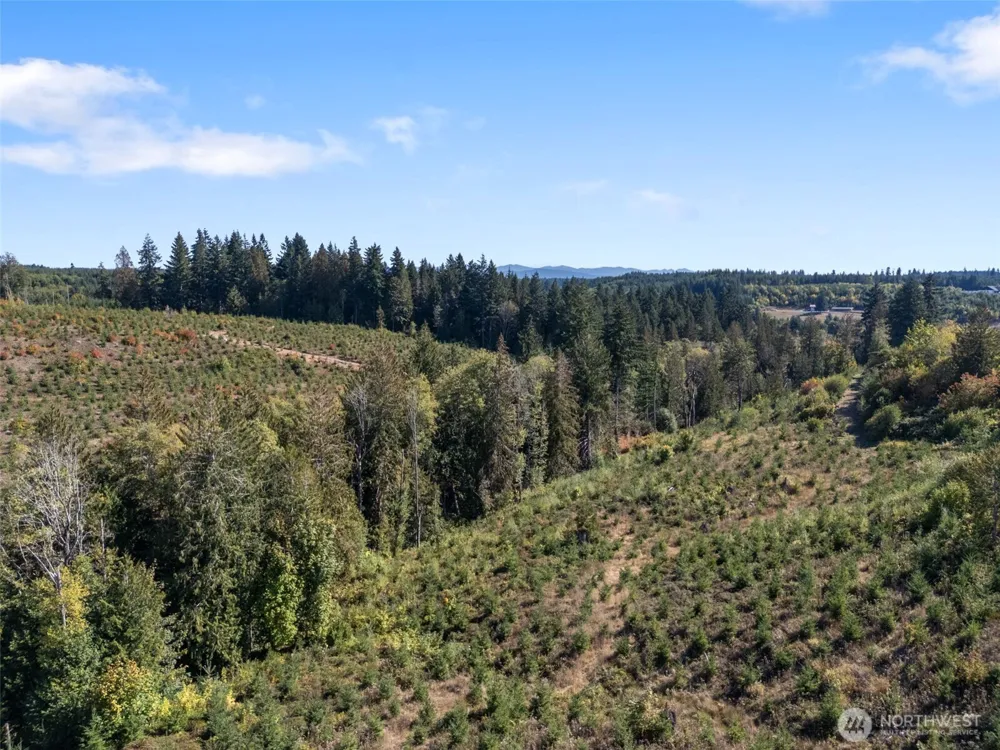 0 Lot 2 Macomber Road W Chehalis, WA 98532