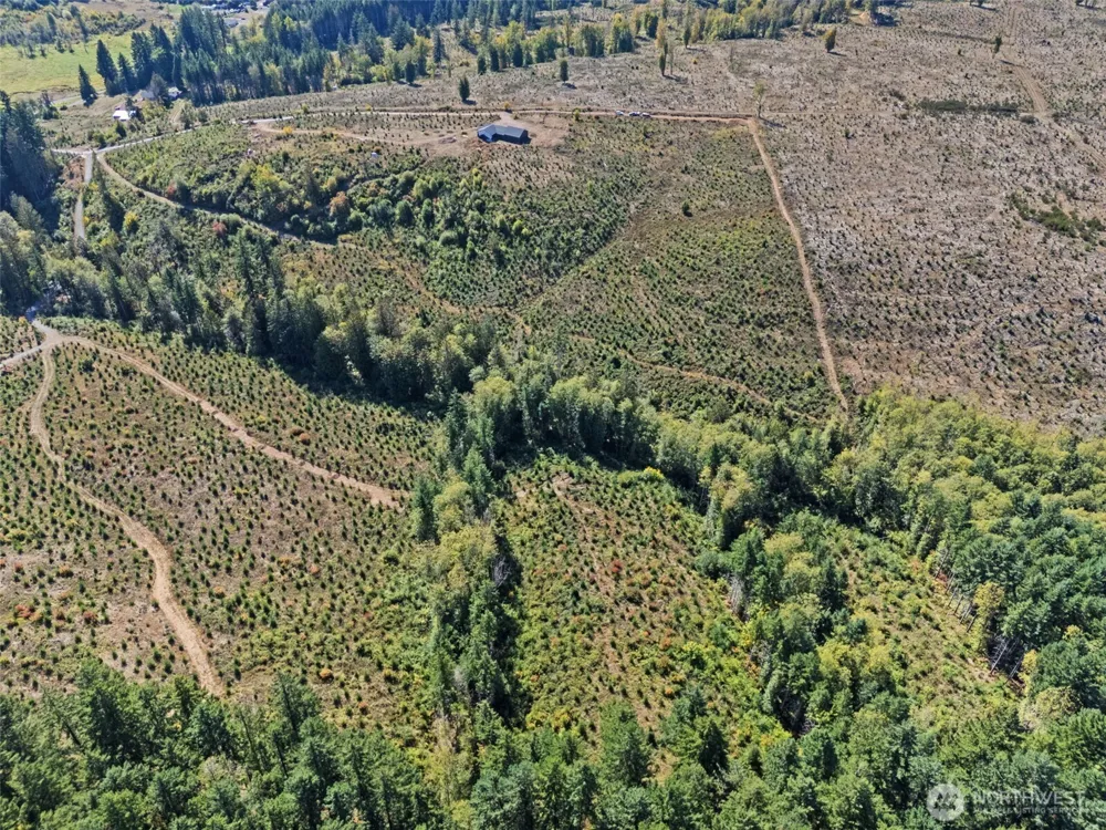0 Lot 2 Macomber Road W Chehalis, WA 98532