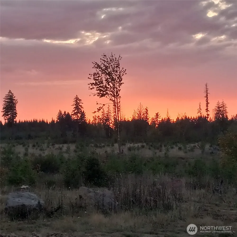 158 Macomber Road W Chehalis, WA 98532